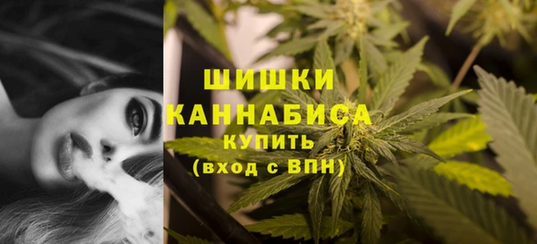 сатива Бугульма